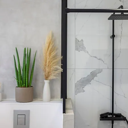 Trésor D Antheor- Bord De * Saint-Raphaël