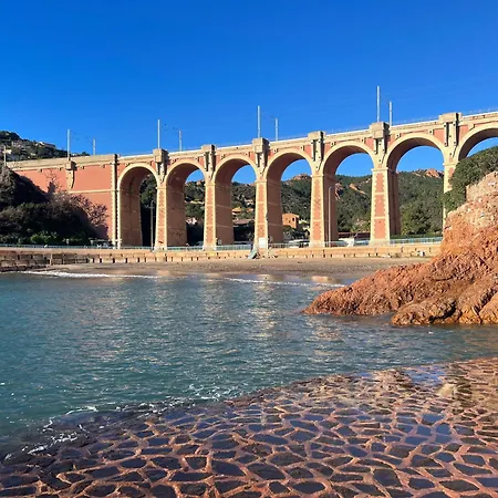 Tresor D Antheor- Bord De * Saint-Raphaël